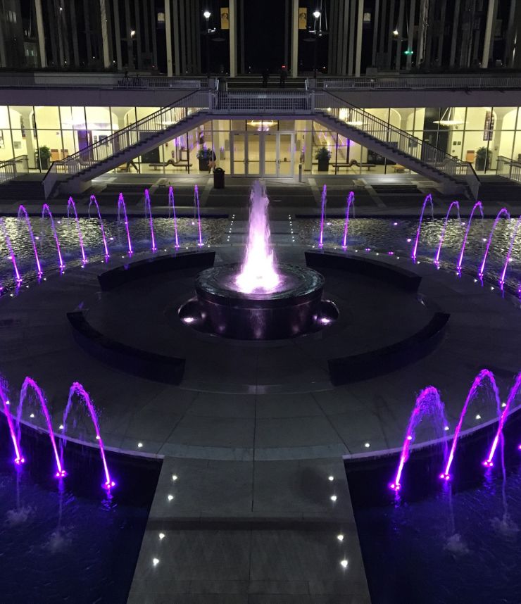 SUBMERSIBLE LIGHTS & LEDs